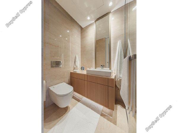 1 bedroom apartment for rent mouttagiaka limassol 1598082 image 16333948