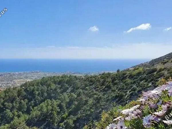 land for sale peyia paphos 8395082 image 17215562