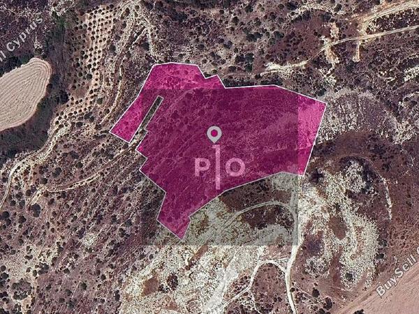 land for sale skarinou larnaca 8275082 image 17709948