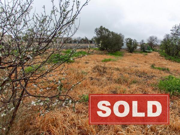 land sold kathikas paphos 8438082 image 15029852