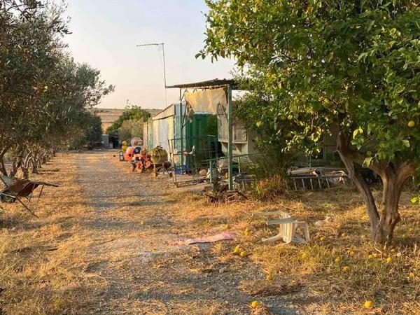 5 bedroom bungalow for sale aradippou larnaca 8880182 image 17265129