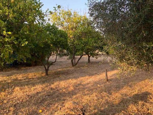 5 bedroom bungalow for sale aradippou larnaca 8880182 image 17290875