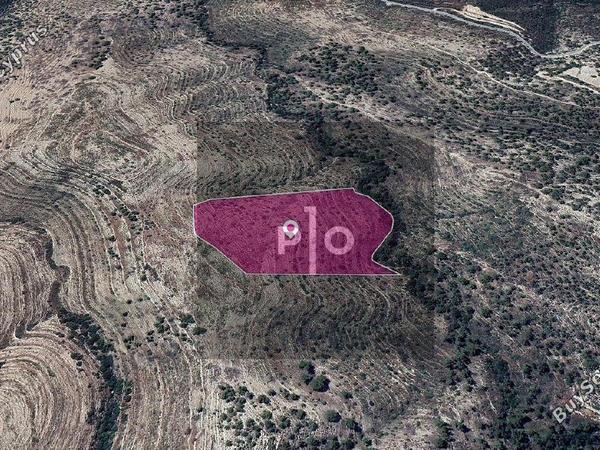 land for sale agios therapon limassol 8275182 image 15158134