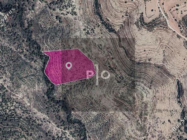 land for sale agios therapon limassol 8275182 image 15158137