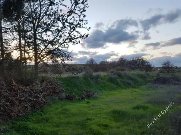 land for sale kato koutrafas nicosia 1062182 image 3477679