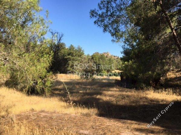 land for sale kornos larnaca 1149182 image 5743210