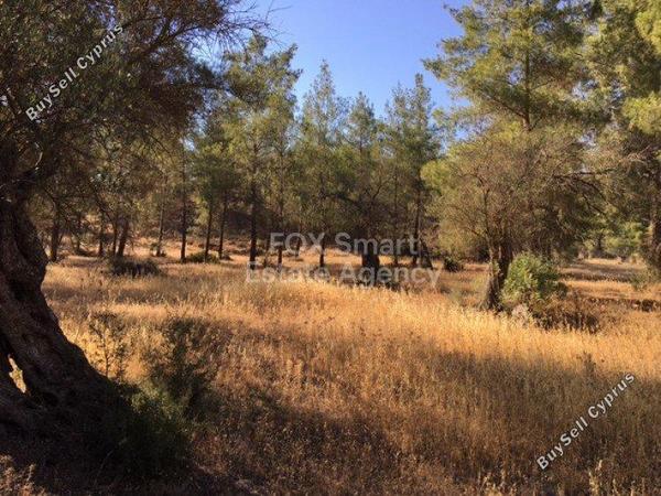 land for sale kornos larnaca 1149182 image 5743226