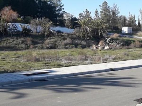 land for sale tseri nicosia 1932182 image 13640289