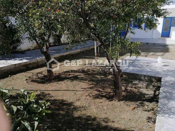 studio ground floor apartment for rent agios dometios nicosia 1769182 image 5356711