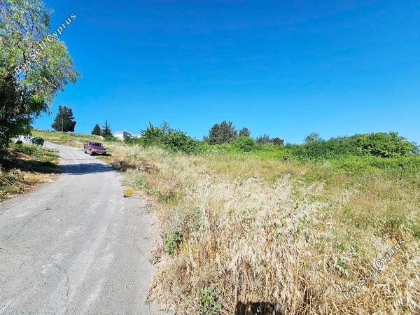 land for sale drousia paphos 8801282 image 16774006