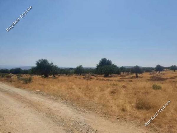land for sale pachna limassol 840282 image 15442399