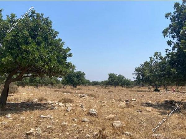 land for sale pachna limassol 840282 image 15442400