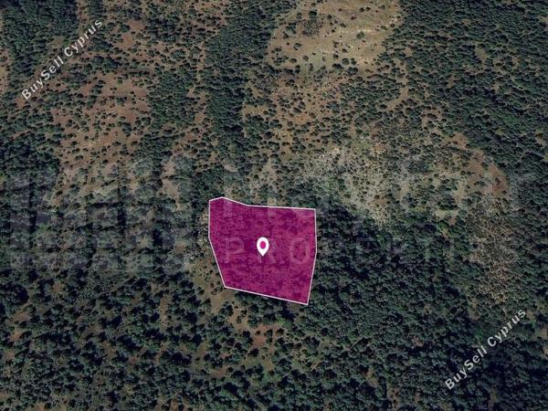 land for sale pigenia nicosia 7872282 image 14115993