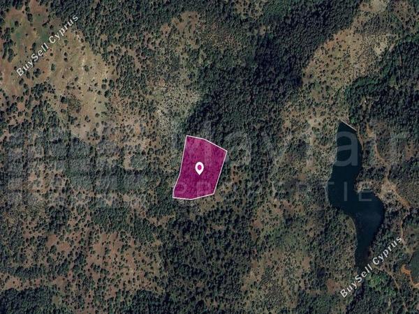 land for sale pigenia nicosia 7872282 image 14115994