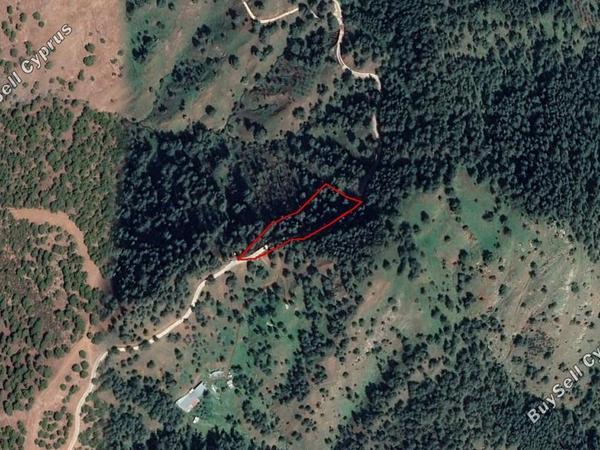 land for sale pigenia nicosia 830282 image 6569609