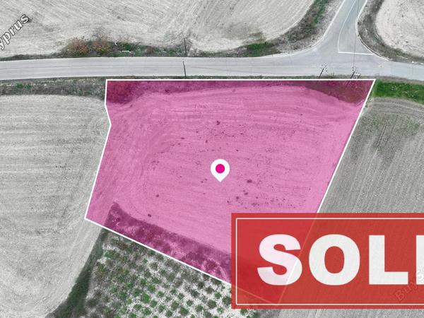 land sold mazotos larnaca 1249282 image 7040480