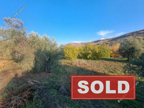 land sold vyzakia nicosia 7898282 image 13964729