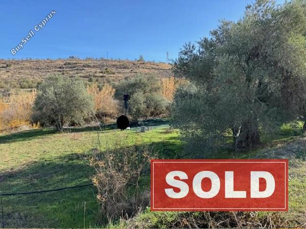 land sold vyzakia nicosia 7898282 image 13964731