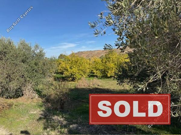 land sold vyzakia nicosia 7898282 image 13964735