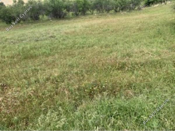 land for sale kelokedara paphos 1530382 image 15598031