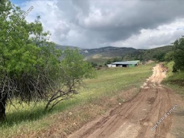 land for sale kelokedara paphos 1530382 image 15598032