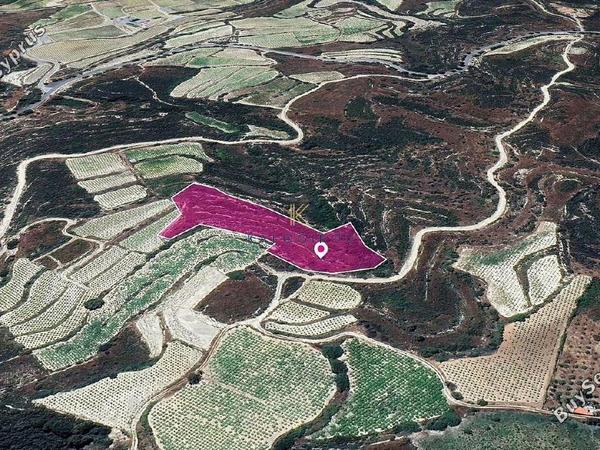 land for sale koilani limassol 1650382 image 5669129