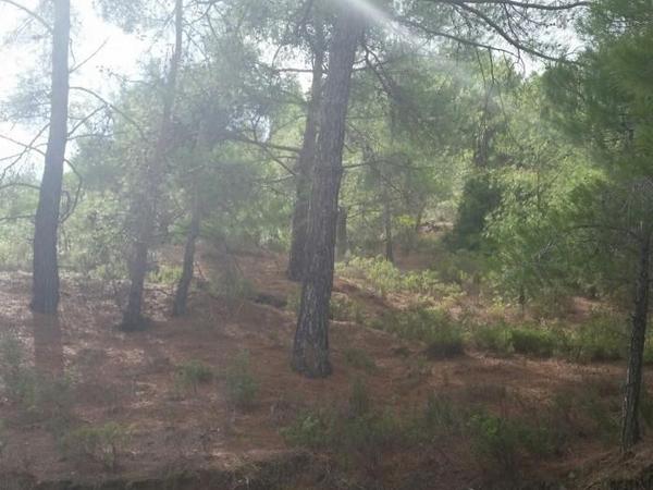 land for sale moniatis limassol 7739382 image 10213051