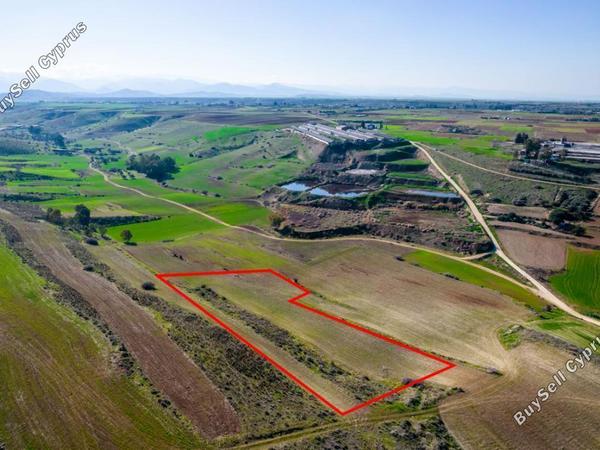 land for sale orounta nicosia 984382 image 5480256