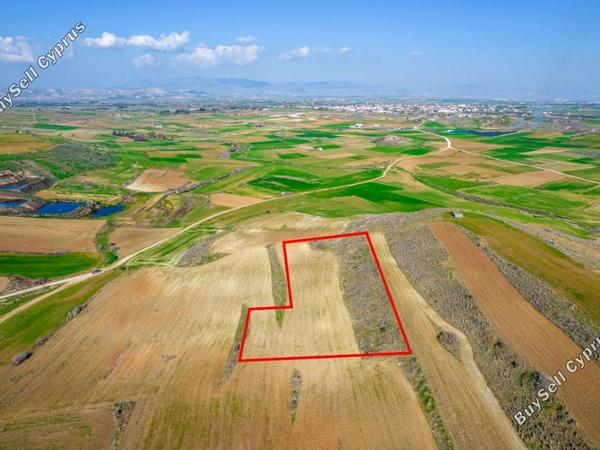 land for sale orounta nicosia 984382 image 5480265