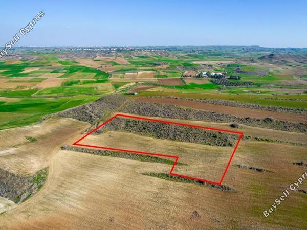 land for sale orounta nicosia 984382 image 5480267