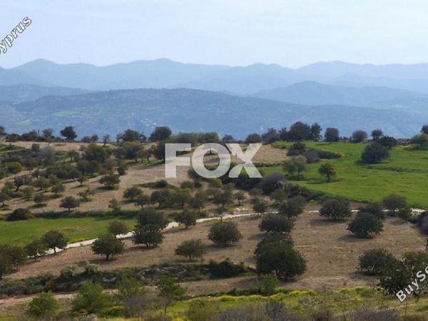 plot for sale poli chrysochous paphos 1271382 image 5520036