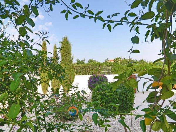 3 bedroom detached house for sale saint george peyia paphos 8529482 image 15455150