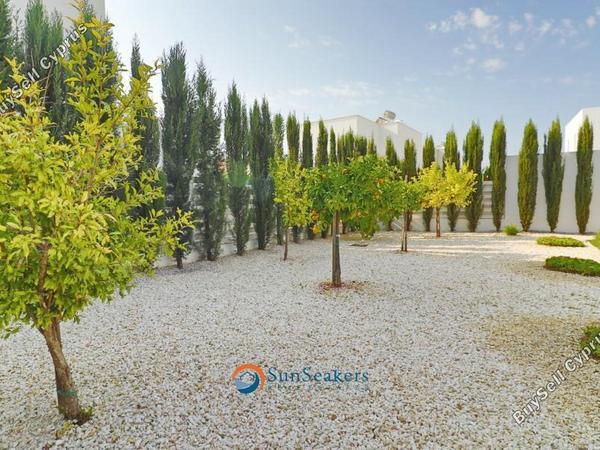 3 bedroom detached house for sale saint george peyia paphos 8529482 image 15455159