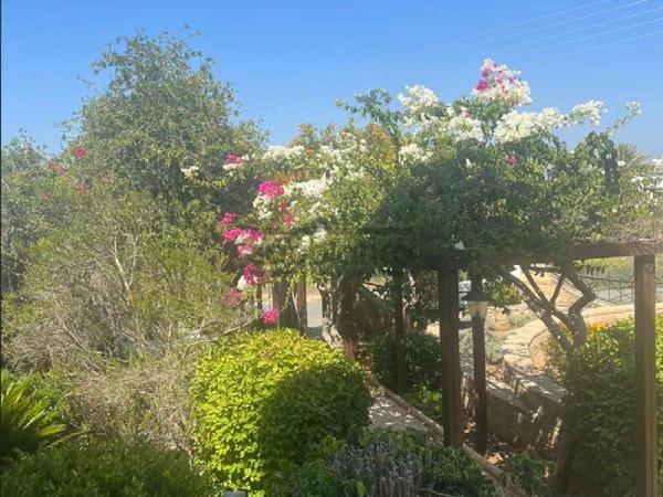 4 bedroom detached house for sale tala paphos 8753482 image 16511190
