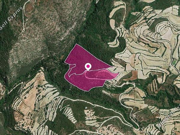 land for sale koili paphos 1897482 image 14205862