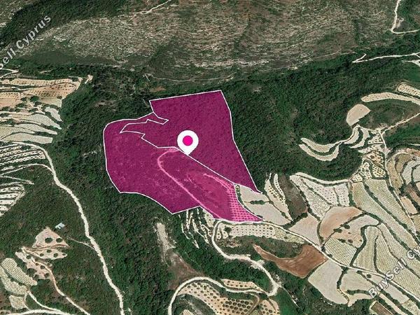 land for sale koili paphos 1897482 image 14205865