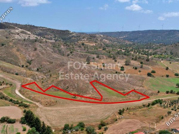land for sale psevdas larnaca 1150482 image 5750459