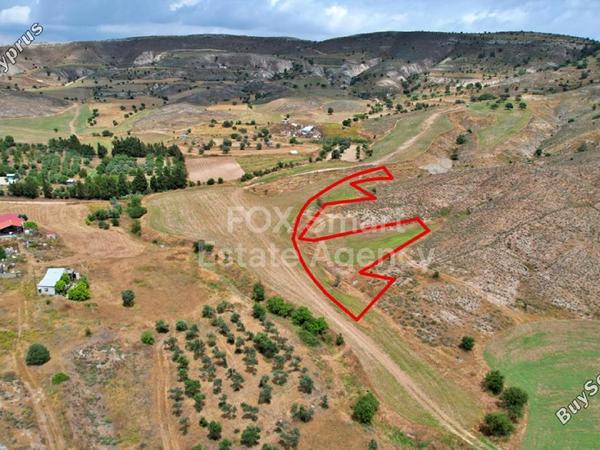 land for sale psevdas larnaca 1150482 image 5750472