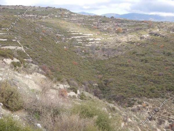 land for sale vouni limassol 885482 image 15603277