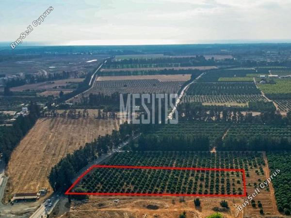 plot for sale kato polemidia limassol 1892482 image 10536125