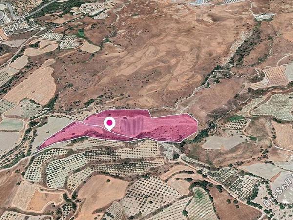 land for sale kritou marottou paphos 8237582 image 14230943
