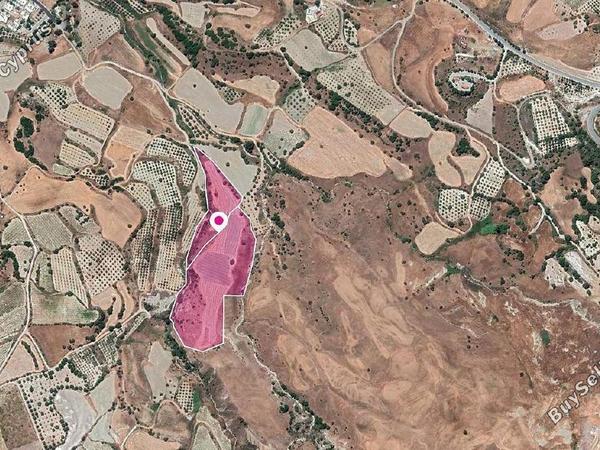 land for sale kritou marottou paphos 8237582 image 14230947