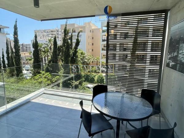 2 bedroom apartment for rent neapolis limassol 8716782 image 16306297