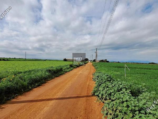 land for sale frenaros famagusta 1292782 image 9268403
