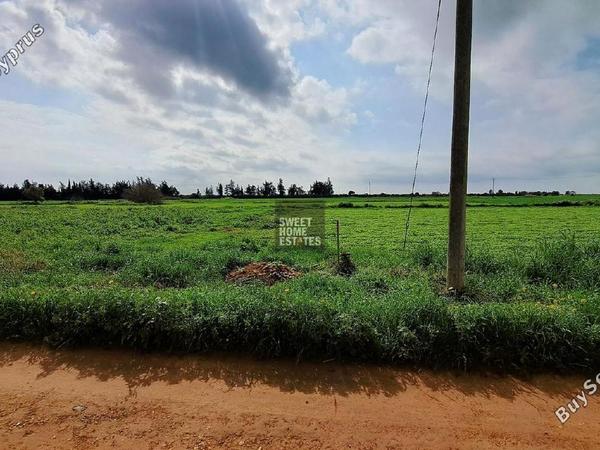 land for sale frenaros famagusta 1292782 image 9268419