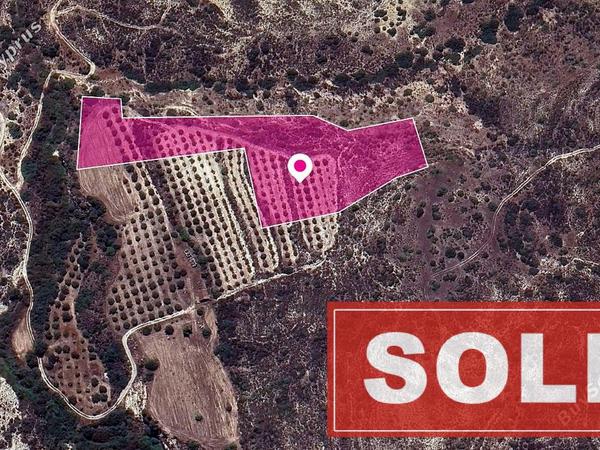 land sold skarinou larnaca 1171782 image 2608515