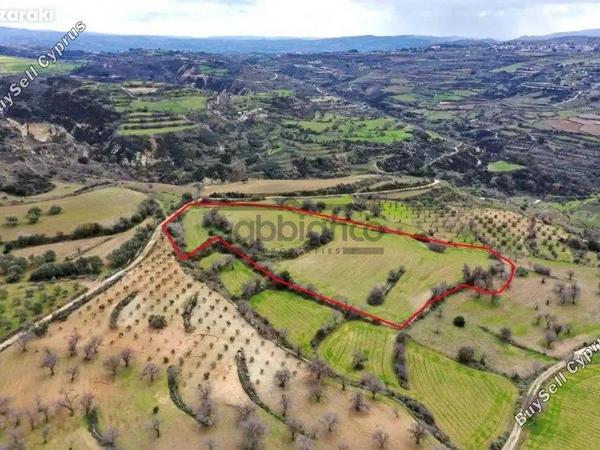 land for sale drimou paphos 8748882 image 16469472