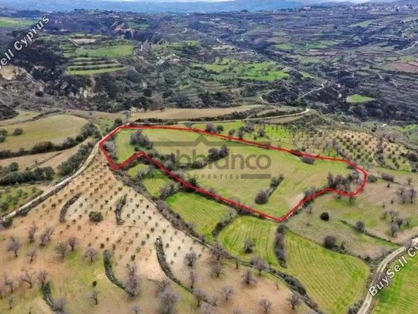 land for sale drimou paphos 8748882 image 16469478