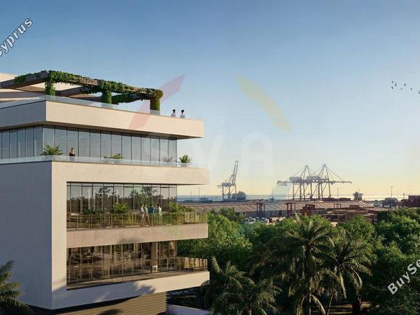 studio office for sale zakaki limassol 8639882 image 15933379