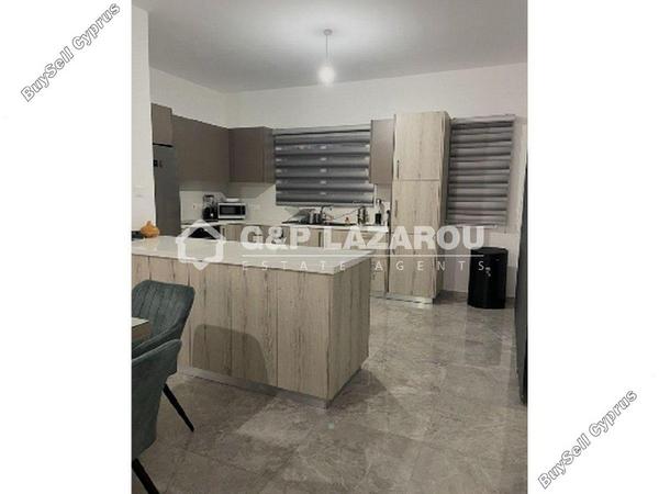 3 bedroom detached house for sale kiti larnaca 8174982 image 13693522